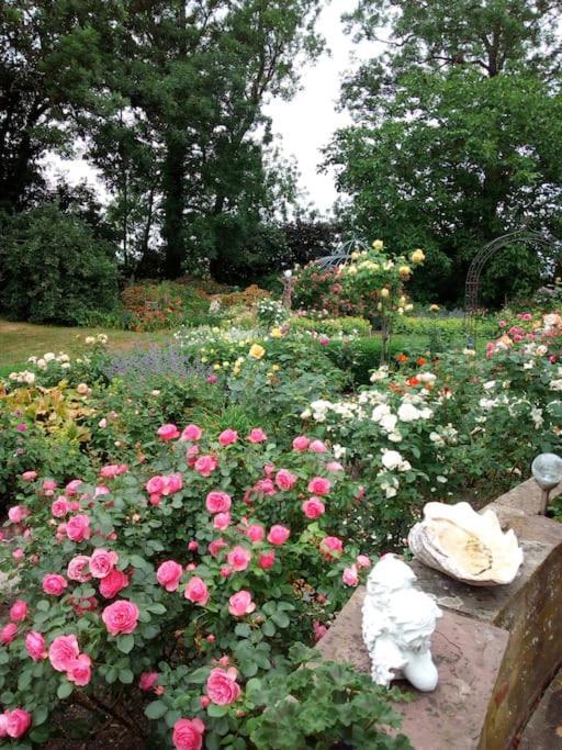 Ferienhaus Rosengarten Loxstedt المظهر الخارجي الصورة
