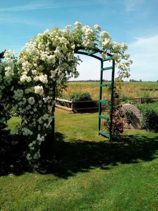 Ferienhaus Rosengarten Loxstedt المظهر الخارجي الصورة